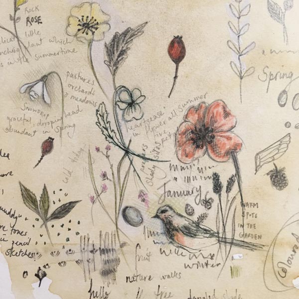 CT UnBoxed Botanicals Sketches by Janet